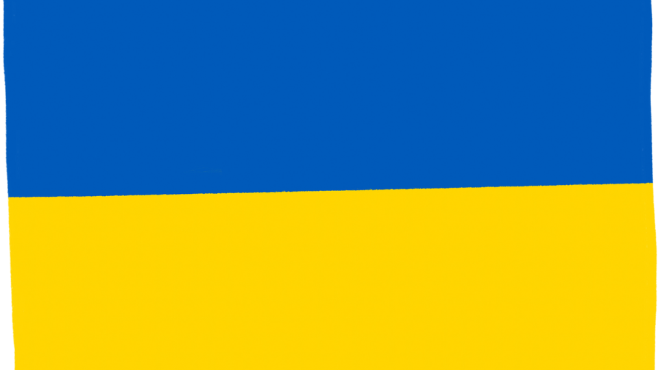 Ukrainian Flog