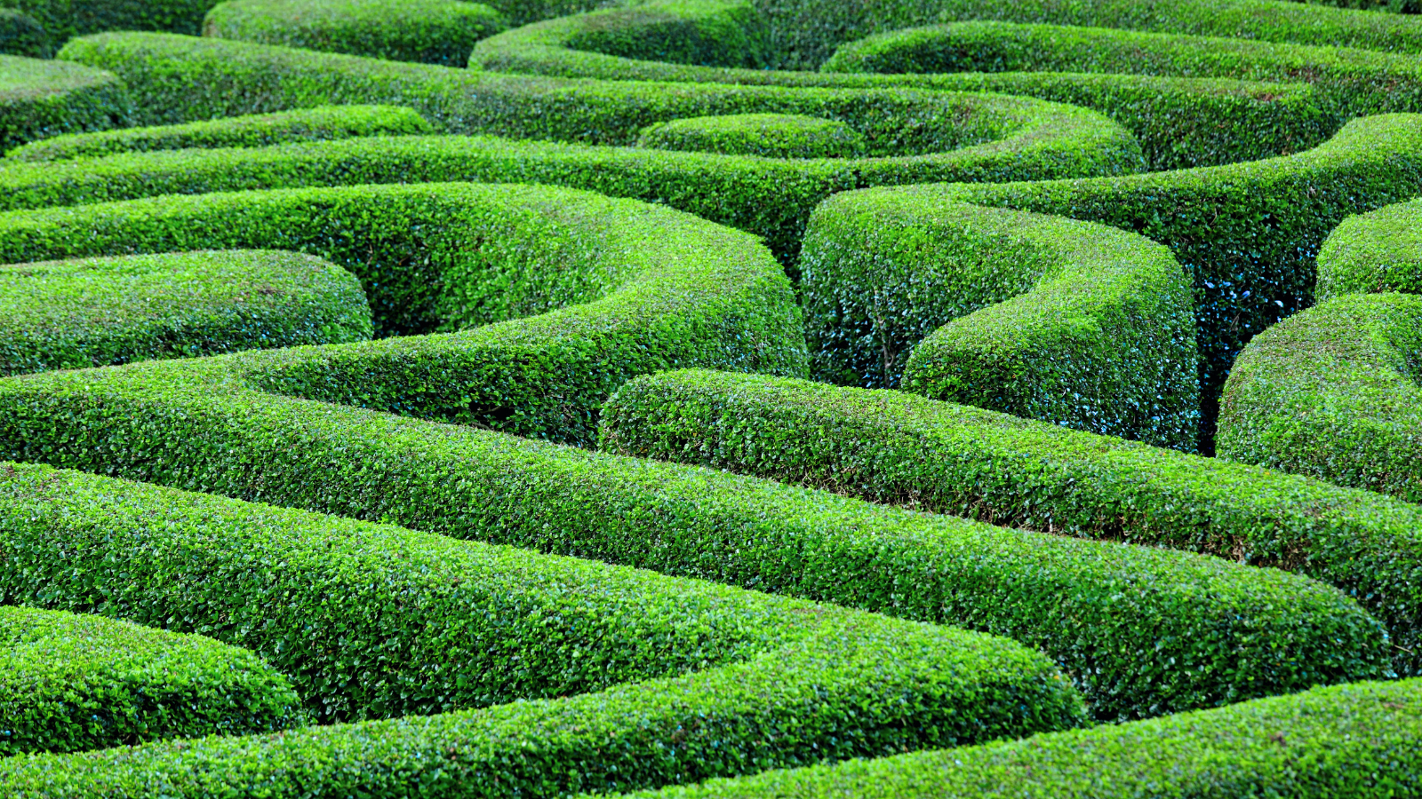 Top 5 Oil & Gas Quality Management Challenges